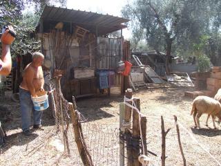 Immagine allegata alla scheda. Per averne una descrizione leggere i dettagli più in basso.